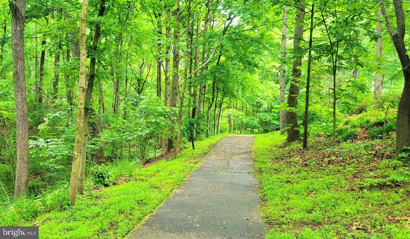 8346 ROXBOROUGH LOOP, GAINESVILLE, Virginia 20155, 4 Bedrooms Bedrooms, ,4 BathroomsBathrooms,Residential,For sale,8346 ROXBOROUGH LOOP,VAPW2113494 MLS # VAPW2113494