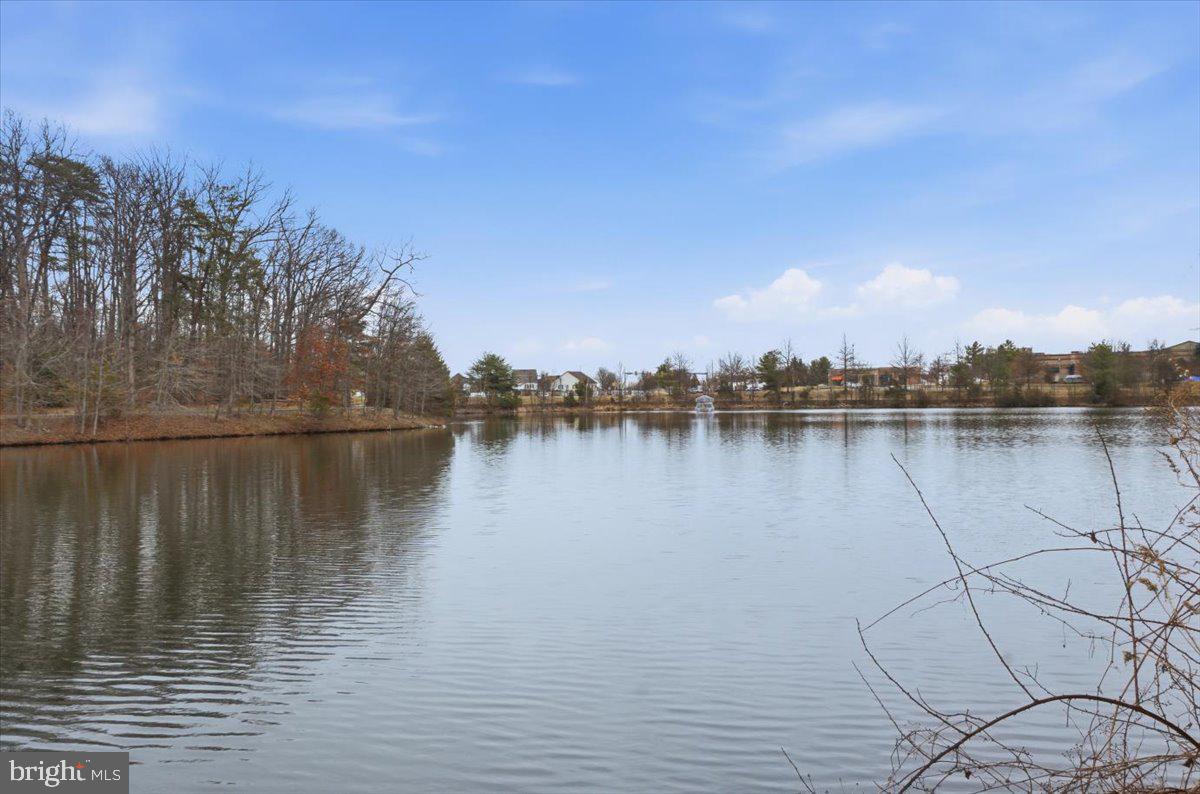 6534 GRANGE LN #202, ALEXANDRIA, Virginia 22315, 2 Bedrooms Bedrooms, ,2 BathroomsBathrooms,Residential,For sale,6534 GRANGE LN #202,VAFX2293488 MLS # VAFX2293488