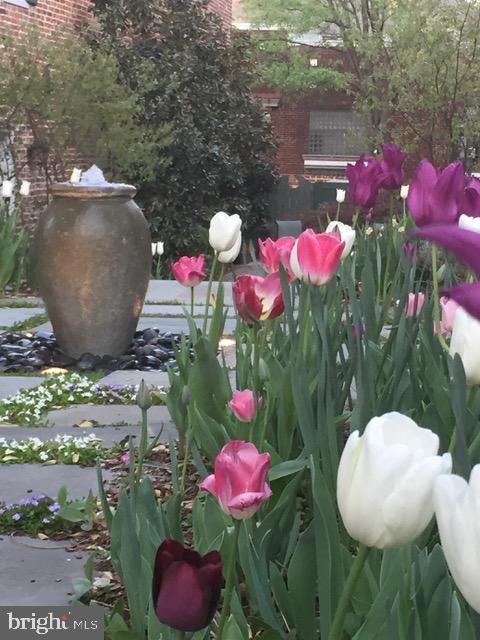 113-115 LEE ST S, ALEXANDRIA, Virginia 22314, 4 Bedrooms Bedrooms, ,4 BathroomsBathrooms,Residential,For sale,113-115 LEE ST S,VAAX2054624 MLS # VAAX2054624