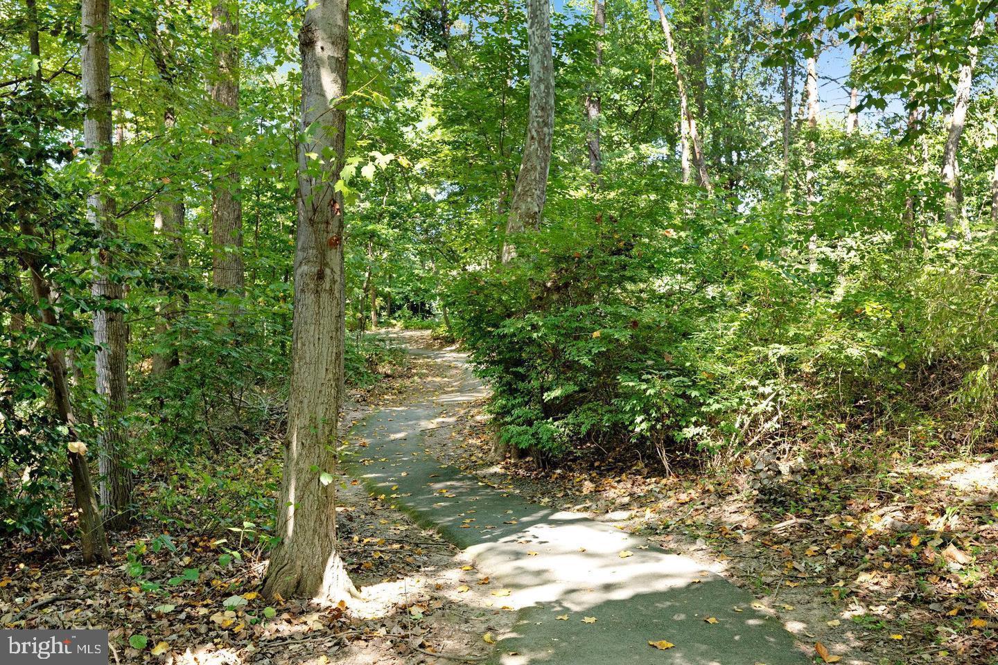 1538 TWISTED OAK DR, RESTON, Virginia 20194, 3 Bedrooms Bedrooms, ,2 BathroomsBathrooms,Residential,For sale,1538 TWISTED OAK DR,VAFX2293776 MLS # VAFX2293776