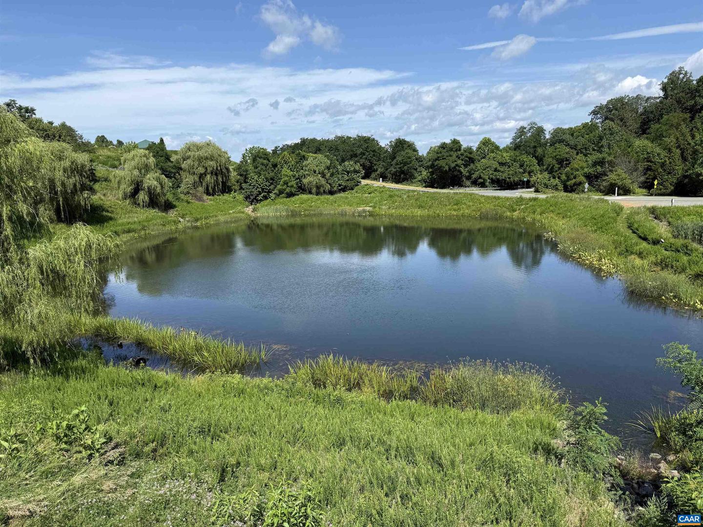 2176 WHISPERING HOLLOW LN, CHARLOTTESVILLE, Virginia 22911, 3 Bedrooms Bedrooms, ,2 BathroomsBathrooms,Residential,For sale,2176 WHISPERING HOLLOW LN,673948 MLS # 673948