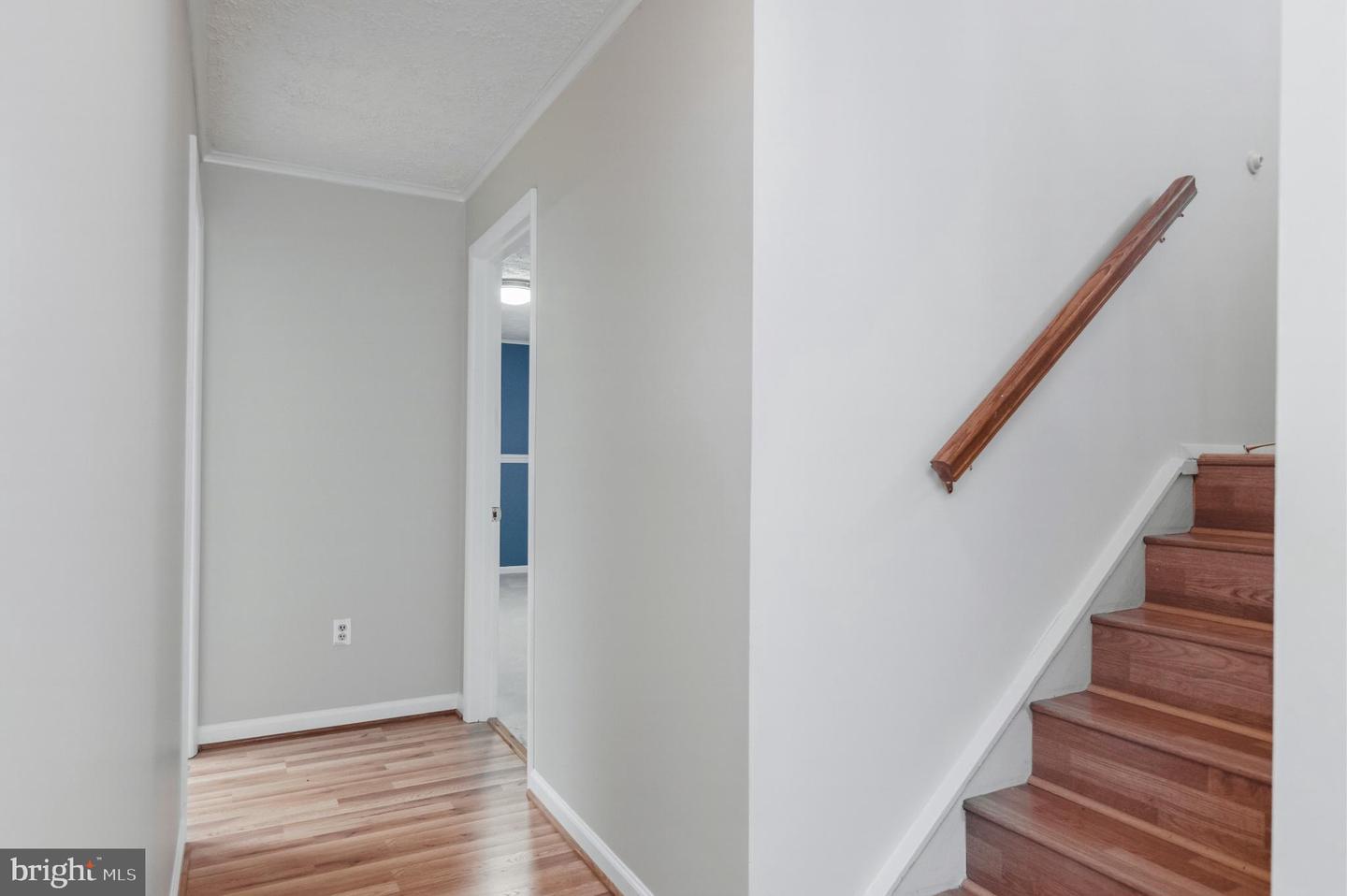 2806 LOGWAY RD, VIENNA, Virginia 22181, 4 Bedrooms Bedrooms, 12 Rooms Rooms,3 BathroomsBathrooms,Residential,For sale,2806 LOGWAY RD,VAFX2294046 MLS # VAFX2294046