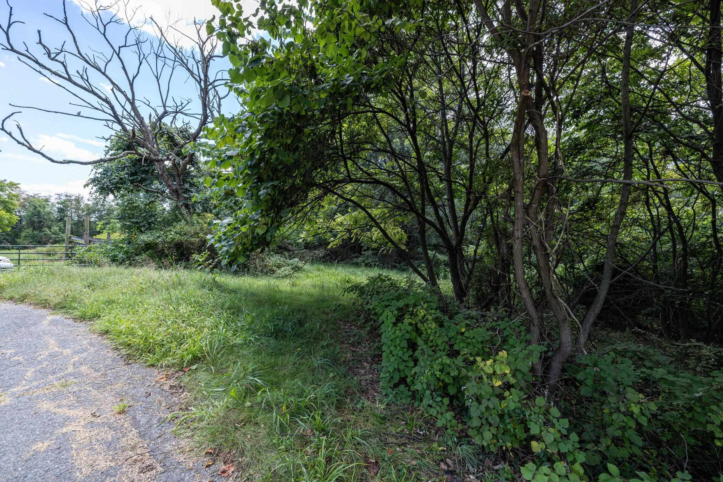 0 SHEN LAKE DR, ROCKINGHAM, Virginia 22801, ,Land,0 SHEN LAKE DR,662098 MLS # 662098