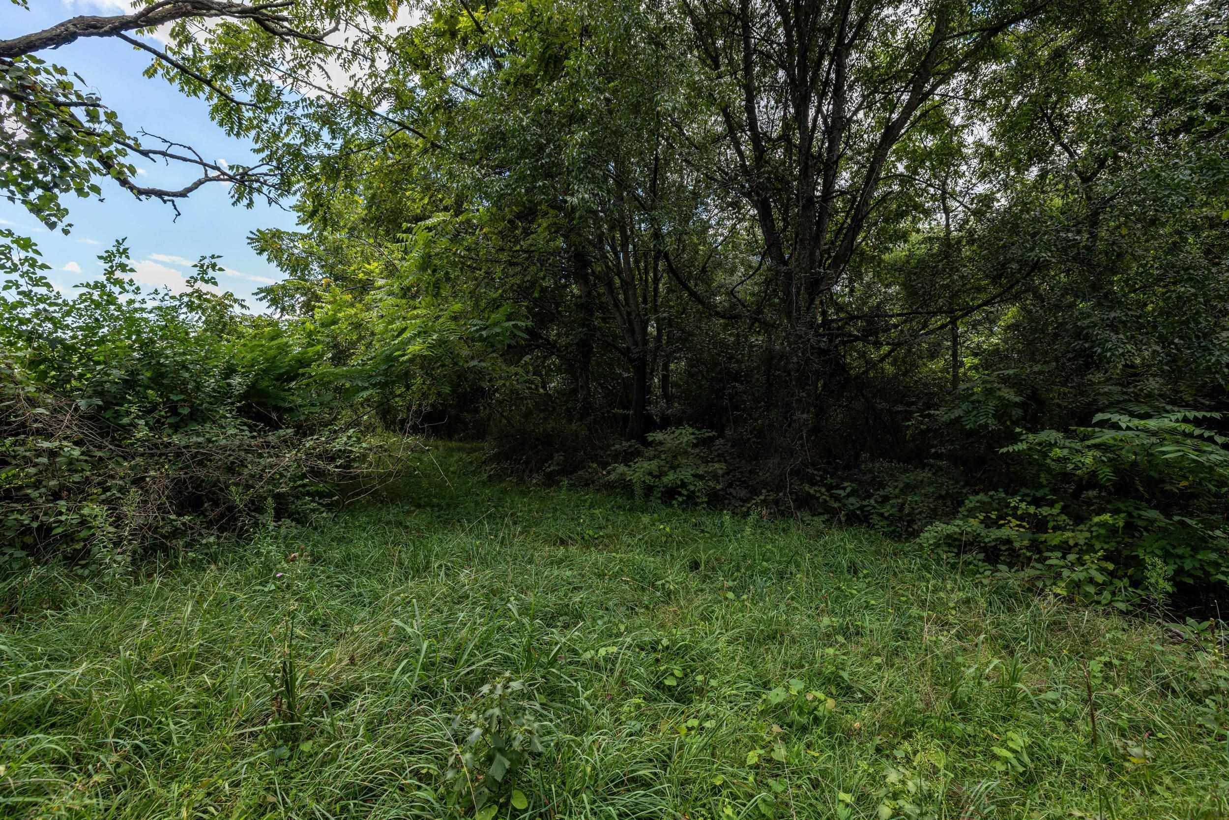 0 SHEN LAKE DR, ROCKINGHAM, Virginia 22801, ,Land,0 SHEN LAKE DR,662098 MLS # 662098