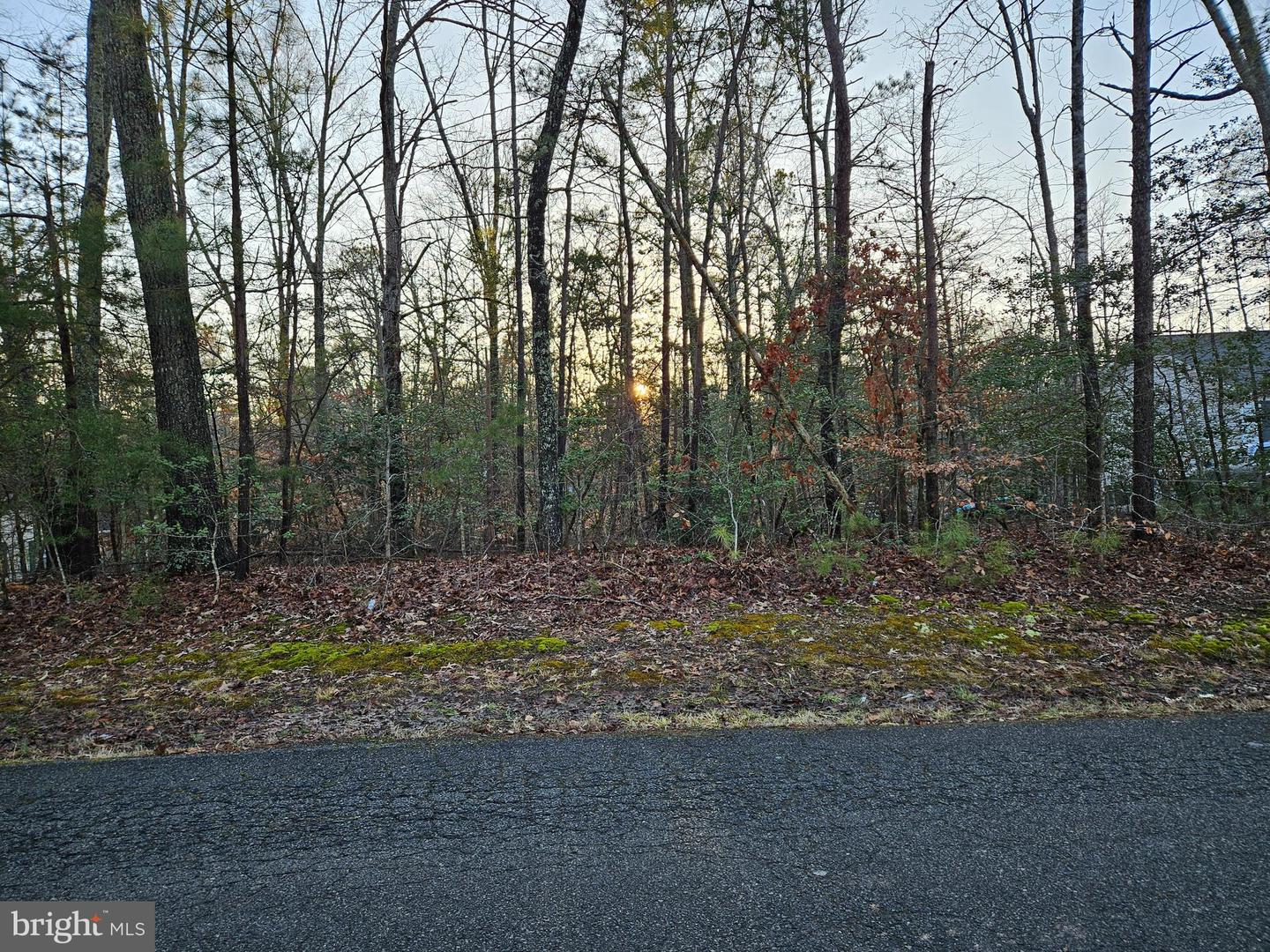 291 LAND OR DR, RUTHER GLEN, Virginia 22546, ,Land,For sale,291 LAND OR DR,VACV2007736 MLS # VACV2007736