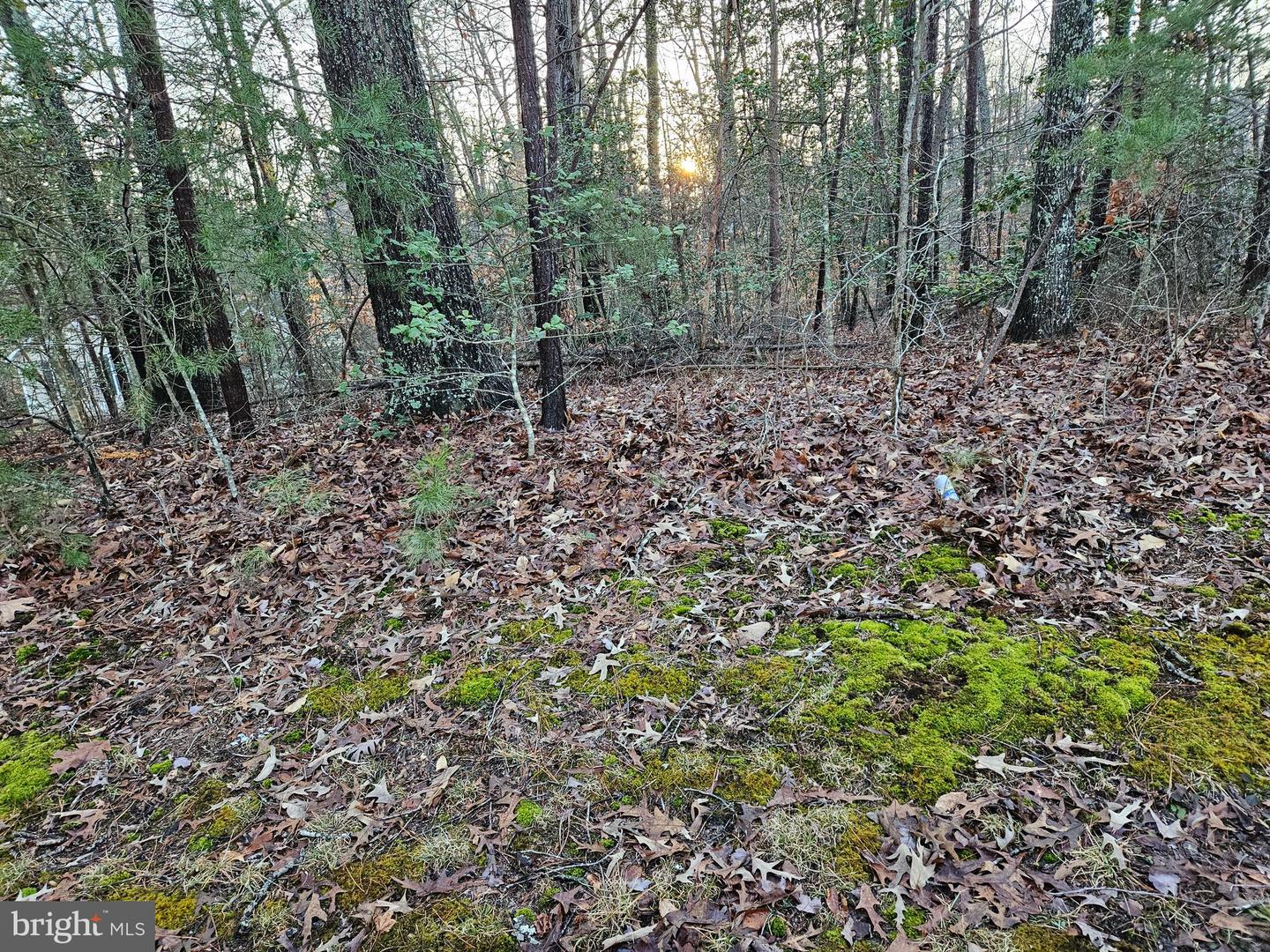 291 LAND OR DR, RUTHER GLEN, Virginia 22546, ,Land,For sale,291 LAND OR DR,VACV2007736 MLS # VACV2007736