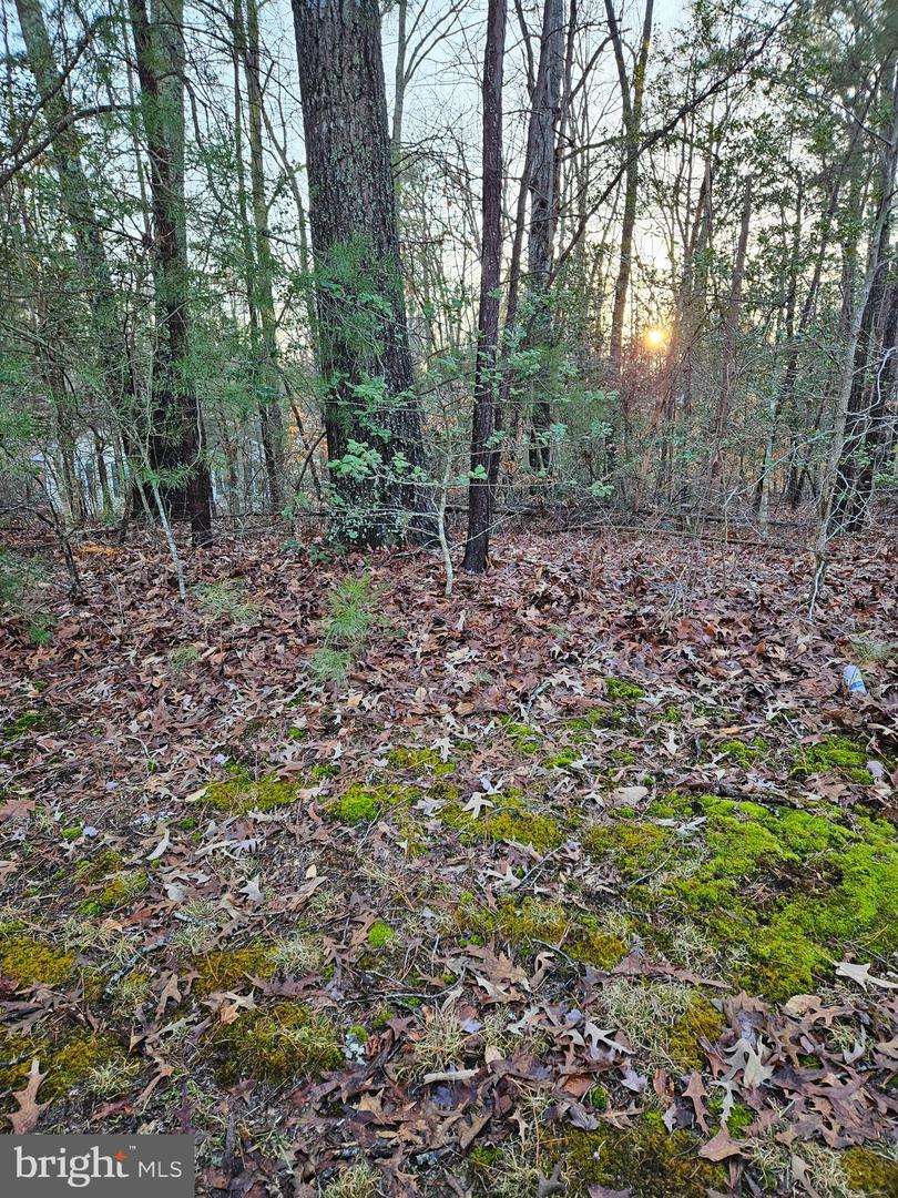 291 LAND OR DR, RUTHER GLEN, Virginia 22546, ,Land,For sale,291 LAND OR DR,VACV2007736 MLS # VACV2007736