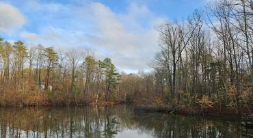 291 LAND OR DR, RUTHER GLEN, Virginia 22546, ,Land,For sale,291 LAND OR DR,VACV2007736 MLS # VACV2007736