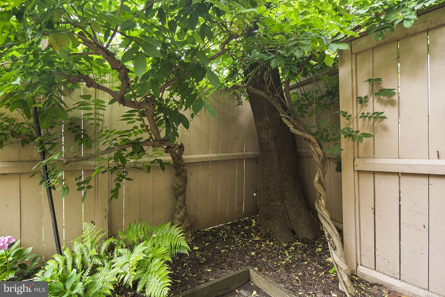 361 N ST SW #361, WASHINGTON, District Of Columbia 20024, 2 Bedrooms Bedrooms, ,3 BathroomsBathrooms,Residential,For sale,361 N ST SW #361,DCDC2213668 MLS # DCDC2213668 361 N ST SW #361, WASHINGTON, District Of Columbia 20024, 2 Bedrooms Bedrooms, ,3 BathroomsBathrooms,Residential,For sale,361 N ST SW #361,DCDC2213668 MLS # DCDC2213668