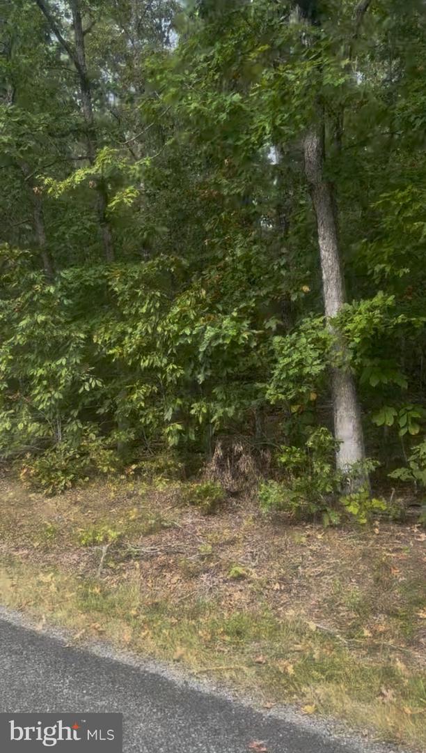 LOG CABIN, BEAVERDAM, Virginia 23015, ,Land,For sale,LOG CABIN,VASP2039668 MLS # VASP2039668