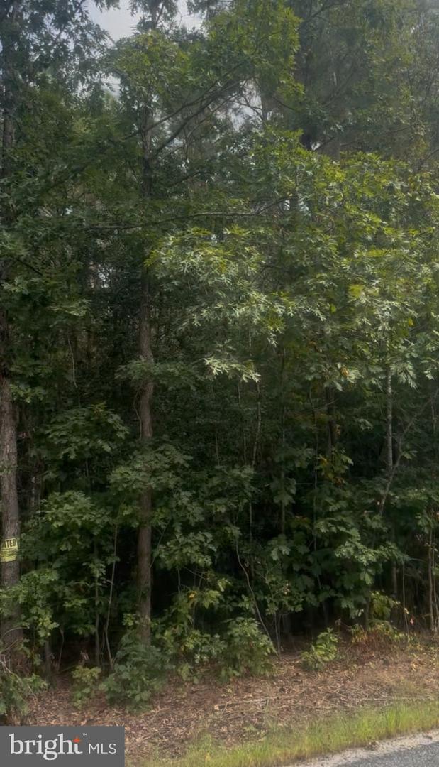 LOG CABIN, BEAVERDAM, Virginia 23015, ,Land,For sale,LOG CABIN,VASP2039668 MLS # VASP2039668