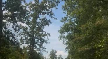 LOG CABIN, BEAVERDAM, Virginia 23015, ,Land,For sale,LOG CABIN,VASP2039668 MLS # VASP2039668