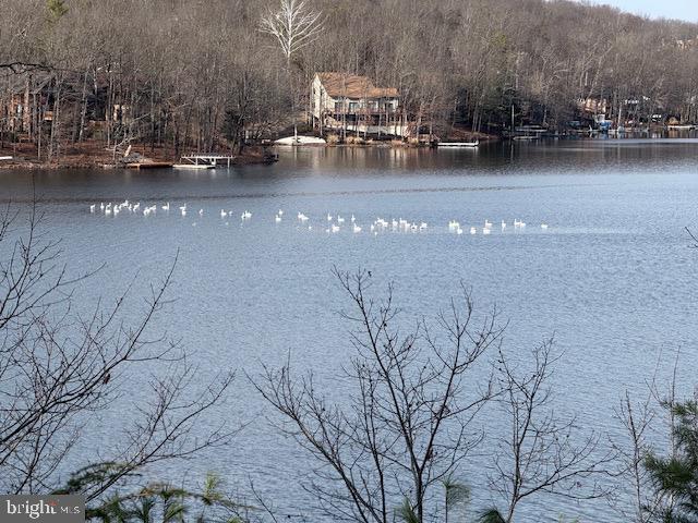 SOUTHWOOD DR-LAKE FRONT, CROSS JUNCTION, Virginia 22625, ,Land,For sale,SOUTHWOOD DR-LAKE FRONT,VAFV2039972 MLS # VAFV2039972