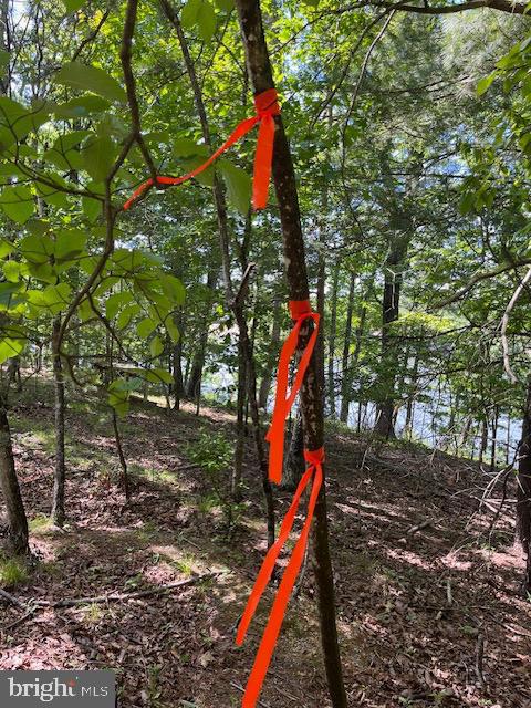 SOUTHWOOD DR-LAKE FRONT, CROSS JUNCTION, Virginia 22625, ,Land,For sale,SOUTHWOOD DR-LAKE FRONT,VAFV2039972 MLS # VAFV2039972