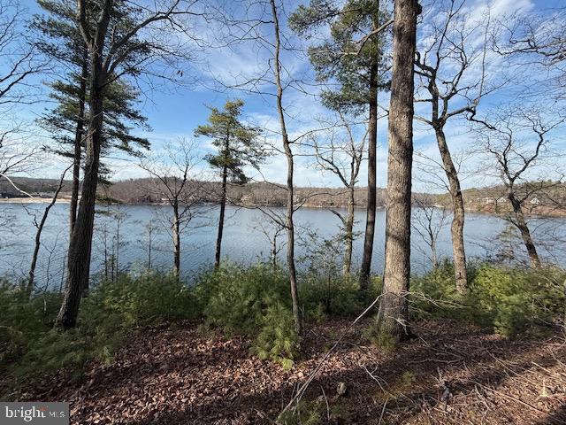 SOUTHWOOD DR-LAKE FRONT, CROSS JUNCTION, Virginia 22625, ,Land,For sale,SOUTHWOOD DR-LAKE FRONT,VAFV2039972 MLS # VAFV2039972