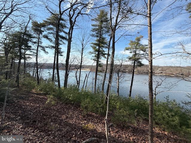 SOUTHWOOD DR-LAKE FRONT, CROSS JUNCTION, Virginia 22625, ,Land,For sale,SOUTHWOOD DR-LAKE FRONT,VAFV2039972 MLS # VAFV2039972 SOUTHWOOD DR-LAKE FRONT, CROSS JUNCTION, Virginia 22625, ,Land,For sale,SOUTHWOOD DR-LAKE FRONT,VAFV2039972 MLS # VAFV2039972