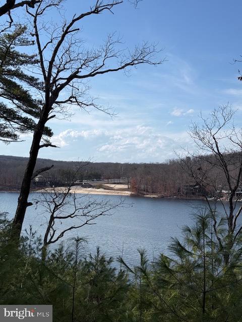 SOUTHWOOD DR-LAKE FRONT, CROSS JUNCTION, Virginia 22625, ,Land,For sale,SOUTHWOOD DR-LAKE FRONT,VAFV2039972 MLS # VAFV2039972 SOUTHWOOD DR-LAKE FRONT, CROSS JUNCTION, Virginia 22625, ,Land,For sale,SOUTHWOOD DR-LAKE FRONT,VAFV2039972 MLS # VAFV2039972