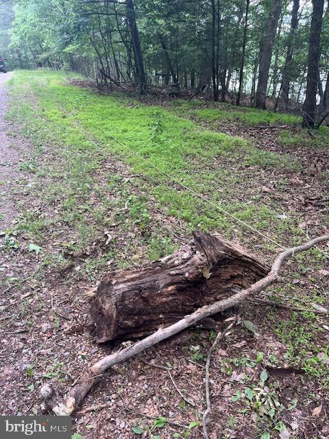 SOUTHWOOD DR-LAKE FRONT, CROSS JUNCTION, Virginia 22625, ,Land,For sale,SOUTHWOOD DR-LAKE FRONT,VAFV2039972 MLS # VAFV2039972 SOUTHWOOD DR-LAKE FRONT, CROSS JUNCTION, Virginia 22625, ,Land,For sale,SOUTHWOOD DR-LAKE FRONT,VAFV2039972 MLS # VAFV2039972