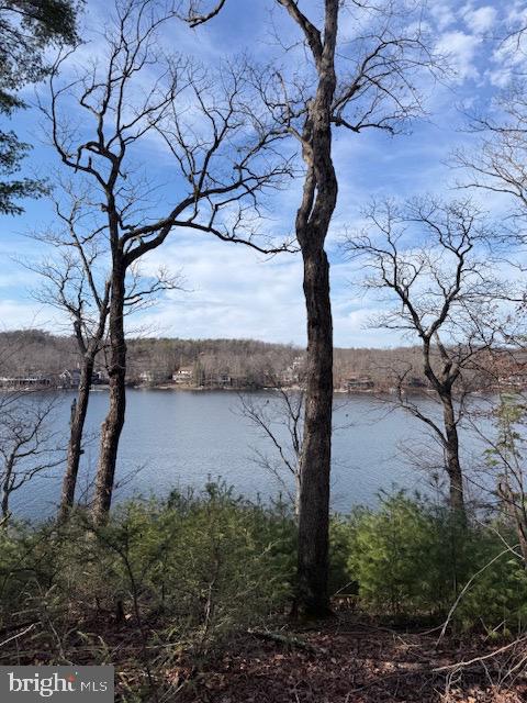 SOUTHWOOD DR-LAKE FRONT, CROSS JUNCTION, Virginia 22625, ,Land,For sale,SOUTHWOOD DR-LAKE FRONT,VAFV2039972 MLS # VAFV2039972