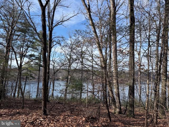 SOUTHWOOD DR-LAKE FRONT, CROSS JUNCTION, Virginia 22625, ,Land,For sale,SOUTHWOOD DR-LAKE FRONT,VAFV2039972 MLS # VAFV2039972