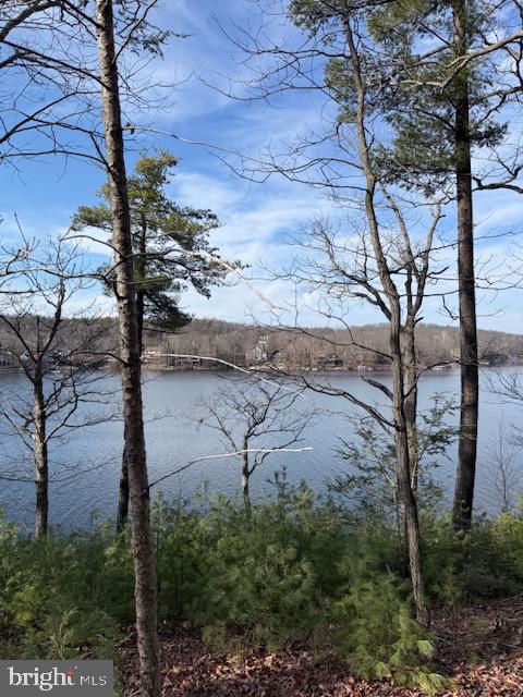 SOUTHWOOD DR-LAKE FRONT, CROSS JUNCTION, Virginia 22625, ,Land,For sale,SOUTHWOOD DR-LAKE FRONT,VAFV2039972 MLS # VAFV2039972