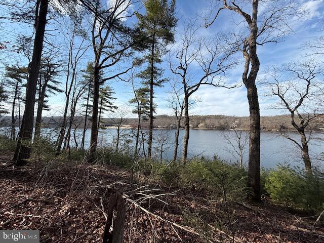 SOUTHWOOD DR-LAKE FRONT, CROSS JUNCTION, Virginia 22625, ,Land,For sale,SOUTHWOOD DR-LAKE FRONT,VAFV2039972 MLS # VAFV2039972