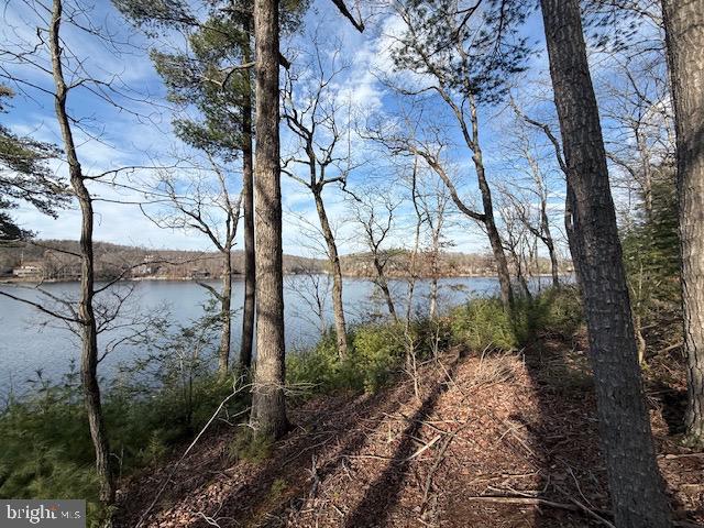 SOUTHWOOD DR-LAKE FRONT, CROSS JUNCTION, Virginia 22625, ,Land,For sale,SOUTHWOOD DR-LAKE FRONT,VAFV2039972 MLS # VAFV2039972