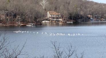 SOUTHWOOD DR-LAKE FRONT, CROSS JUNCTION, Virginia 22625, ,Land,For sale,SOUTHWOOD DR-LAKE FRONT,VAFV2039972 MLS # VAFV2039972