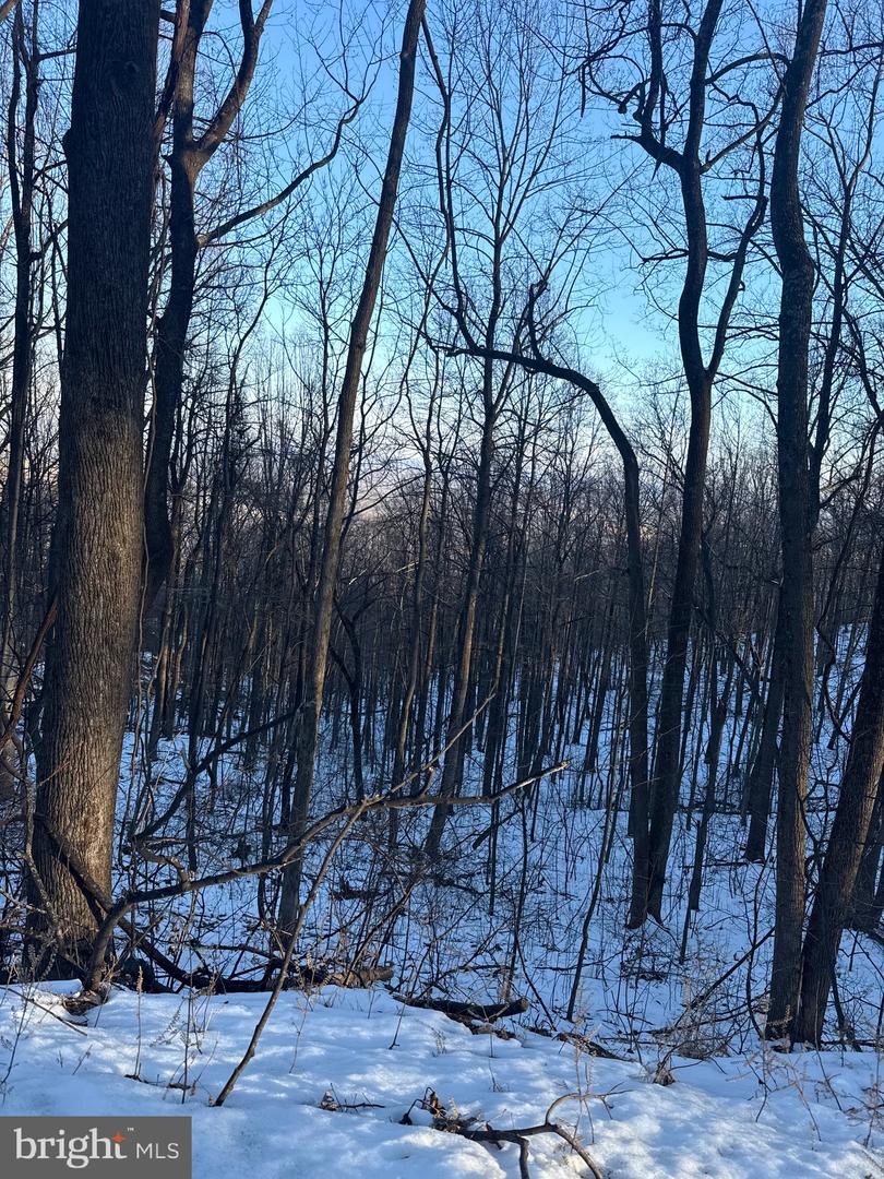 1609 SUMMIT DR, HAYMARKET, Virginia 20169, ,Land,For sale,1609 SUMMIT DR,VAPW2113940 MLS # VAPW2113940