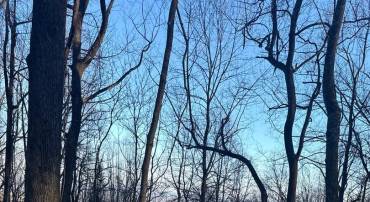 1609 SUMMIT DR, HAYMARKET, Virginia 20169, ,Land,For sale,1609 SUMMIT DR,VAPW2113940 MLS # VAPW2113940