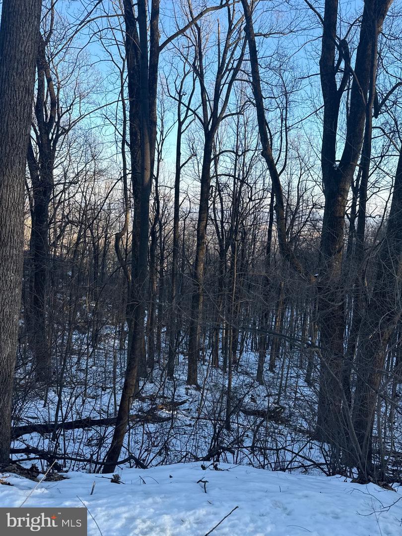 16209 SUMNEY DR, HAYMARKET, Virginia 20169, ,Land,For sale,16209 SUMNEY DR,VAPW2113942 MLS # VAPW2113942