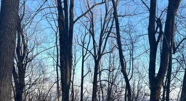 16209 SUMNEY DR, HAYMARKET, Virginia 20169, ,Land,For sale,16209 SUMNEY DR,VAPW2113942 MLS # VAPW2113942