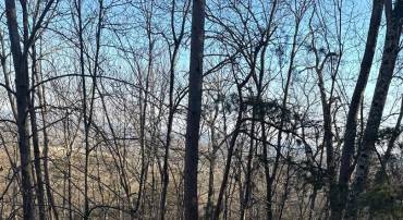 16211 SUMNEY DR, HAYMARKET, Virginia 20169, ,Land,For sale,16211 SUMNEY DR,VAPW2113944 MLS # VAPW2113944