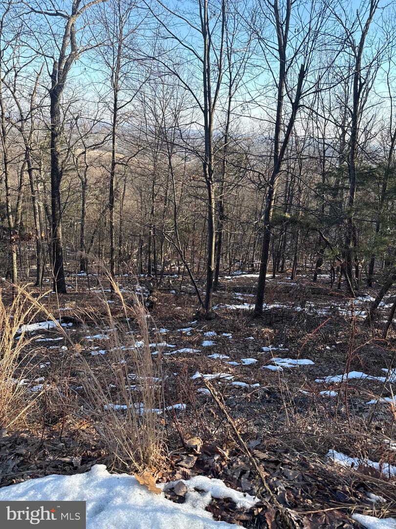 16251 SUMNEY DR, HAYMARKET, Virginia 20169, ,Land,For sale,16251 SUMNEY DR,VAPW2113946 MLS # VAPW2113946