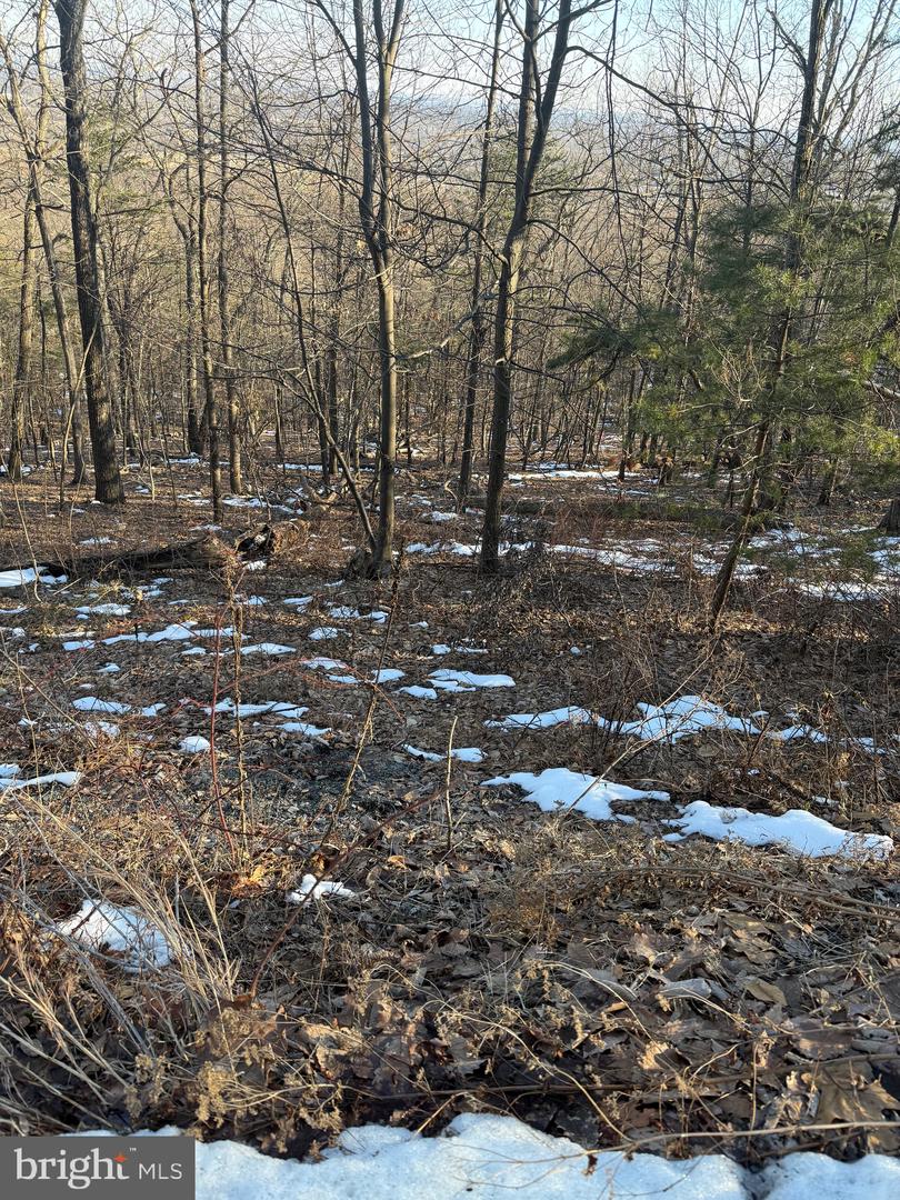 16253 SUMNEY DR, HAYMARKET, Virginia 20169, ,Land,For sale,16253 SUMNEY DR,VAPW2113948 MLS # VAPW2113948