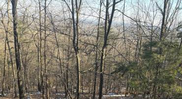 16253 SUMNEY DR, HAYMARKET, Virginia 20169, ,Land,For sale,16253 SUMNEY DR,VAPW2113948 MLS # VAPW2113948