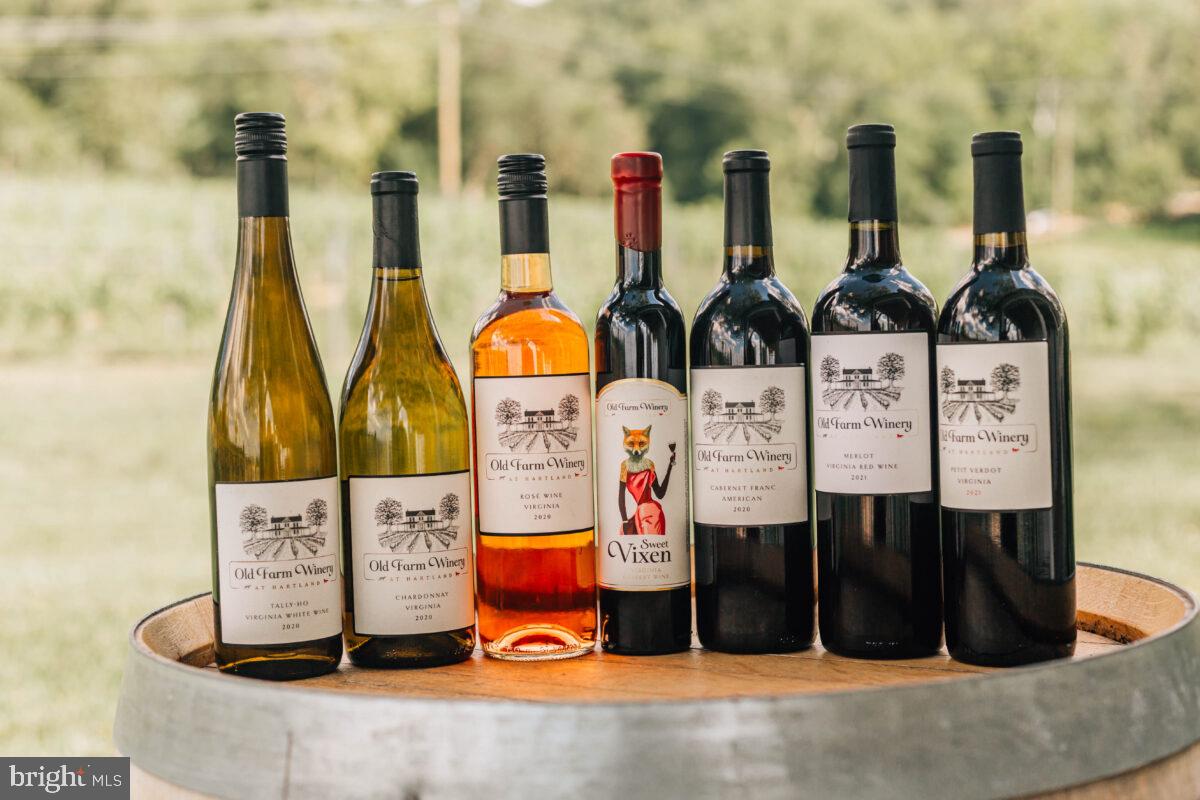 41122 CLEARFIELD MEADOW DR, ALDIE, Virginia 20105, 7 Bedrooms Bedrooms, ,8 BathroomsBathrooms,Residential,For sale,41122 CLEARFIELD MEADOW DR,VALO2111738 MLS # VALO2111738