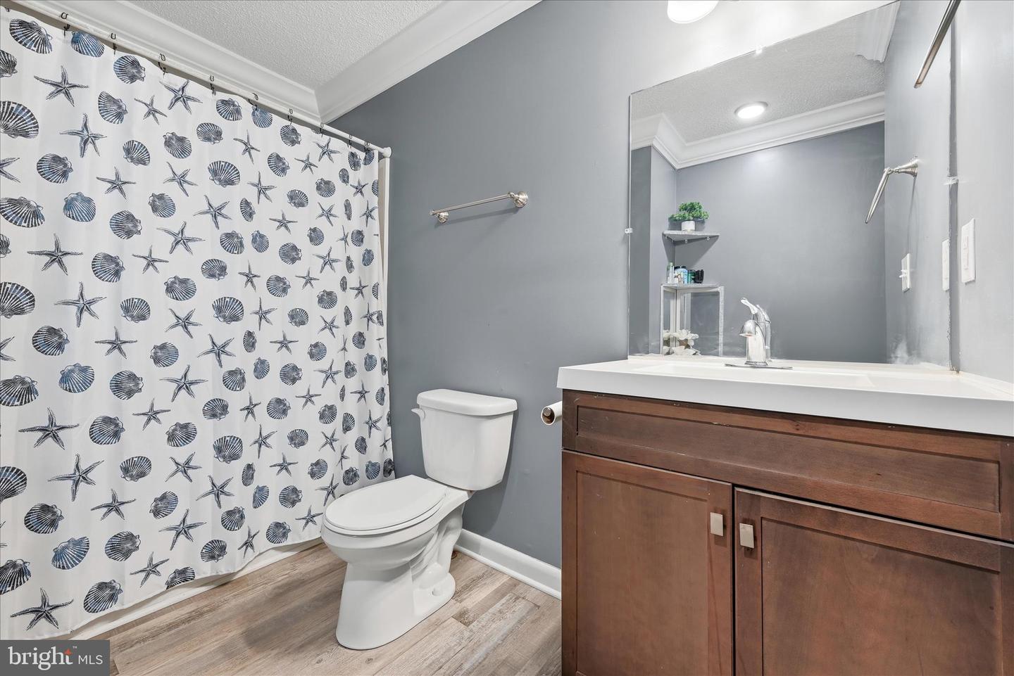 911 WALNUT DR, FREDERICKSBURG, Virginia 22405, 3 Bedrooms Bedrooms, ,2 BathroomsBathrooms,Residential,For sale,911 WALNUT DR,VAST2045518 MLS # VAST2045518