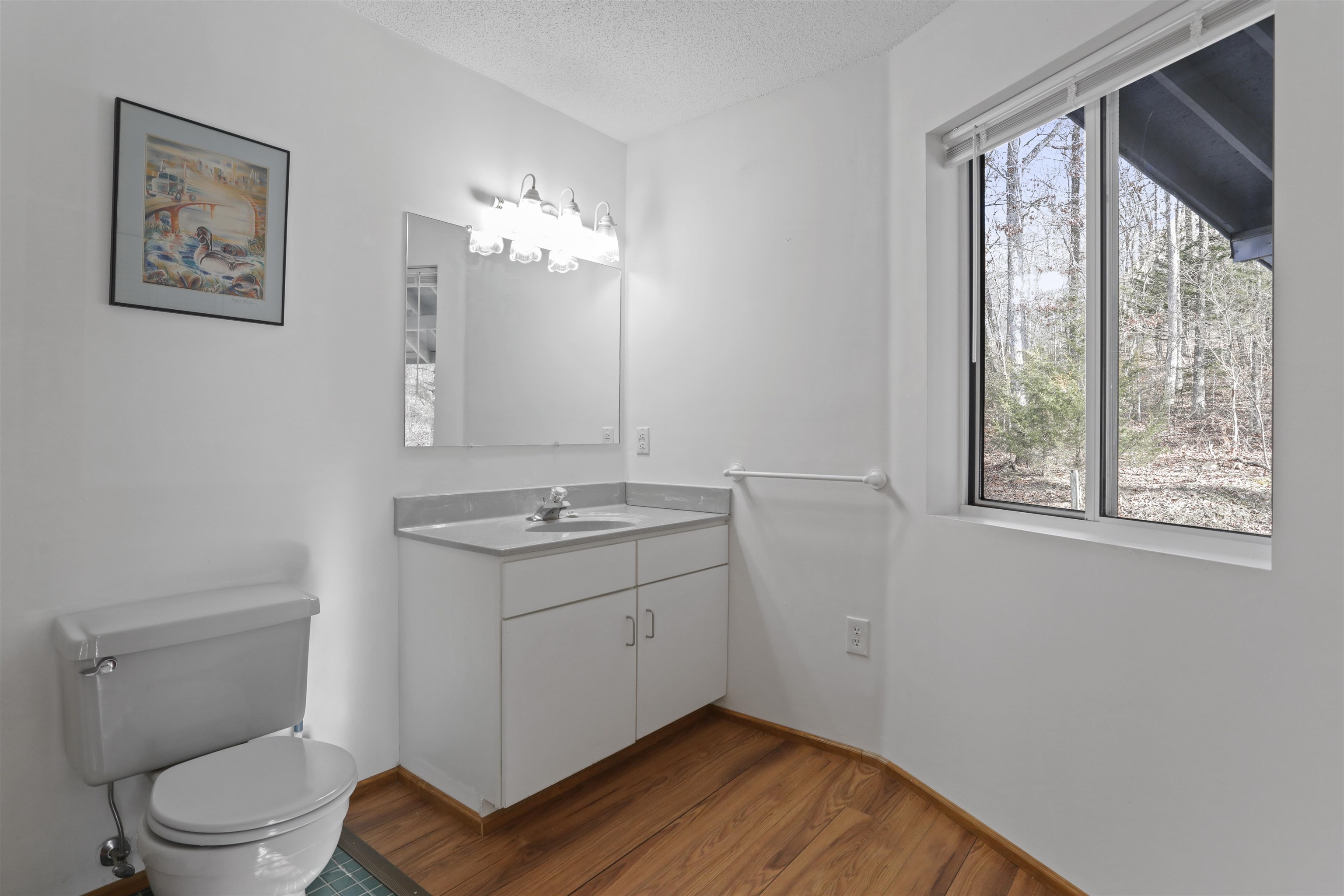 308 BRUSH LEAF LN, MOUNT JACKSON, Virginia 22842, 2 Bedrooms Bedrooms, ,2 BathroomsBathrooms,Residential,308 BRUSH LEAF LN,674048 MLS # 674048