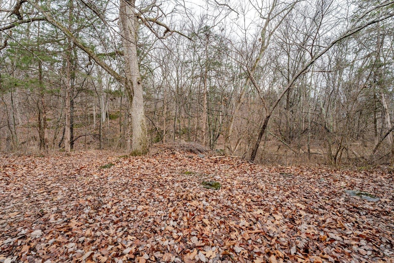 523 GRAVELS RD, ROCKINGHAM, Virginia 22802, 4 Bedrooms Bedrooms, ,2 BathroomsBathrooms,Residential,523 GRAVELS RD,674051 MLS # 674051