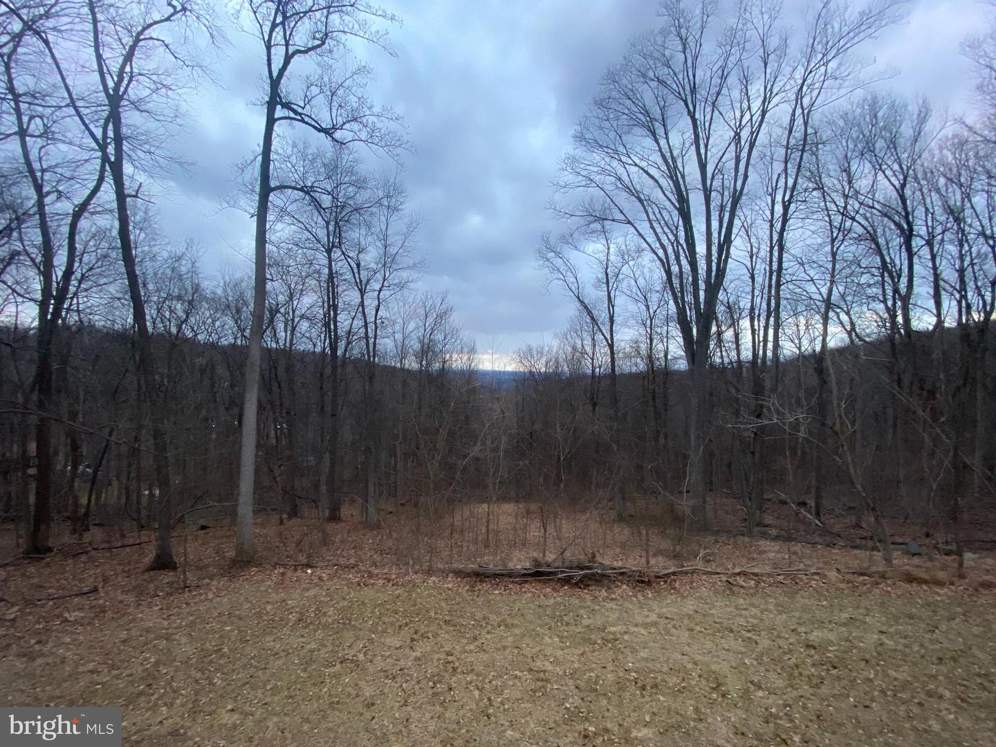 397 PARKSIDE RD, LINDEN, Virginia 22642, 3 Bedrooms Bedrooms, ,2 BathroomsBathrooms,Residential,For sale,397 PARKSIDE RD,VAWR2013474 MLS # VAWR2013474