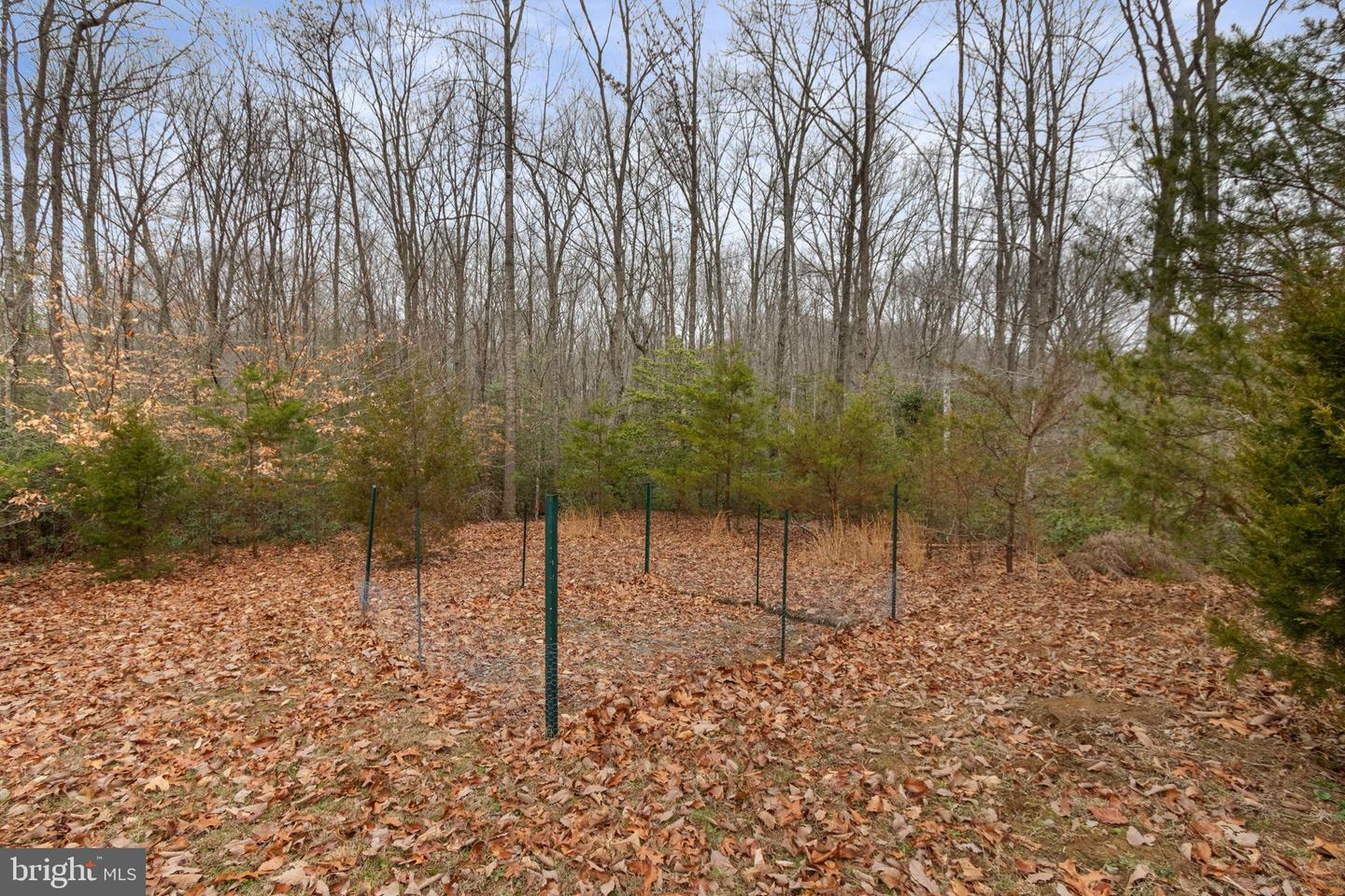 34 BELLA VISTA CT, STAFFORD, Virginia 22554, 5 Bedrooms Bedrooms, ,4 BathroomsBathrooms,Residential,For sale,34 BELLA VISTA CT,VAST2046372 MLS # VAST2046372