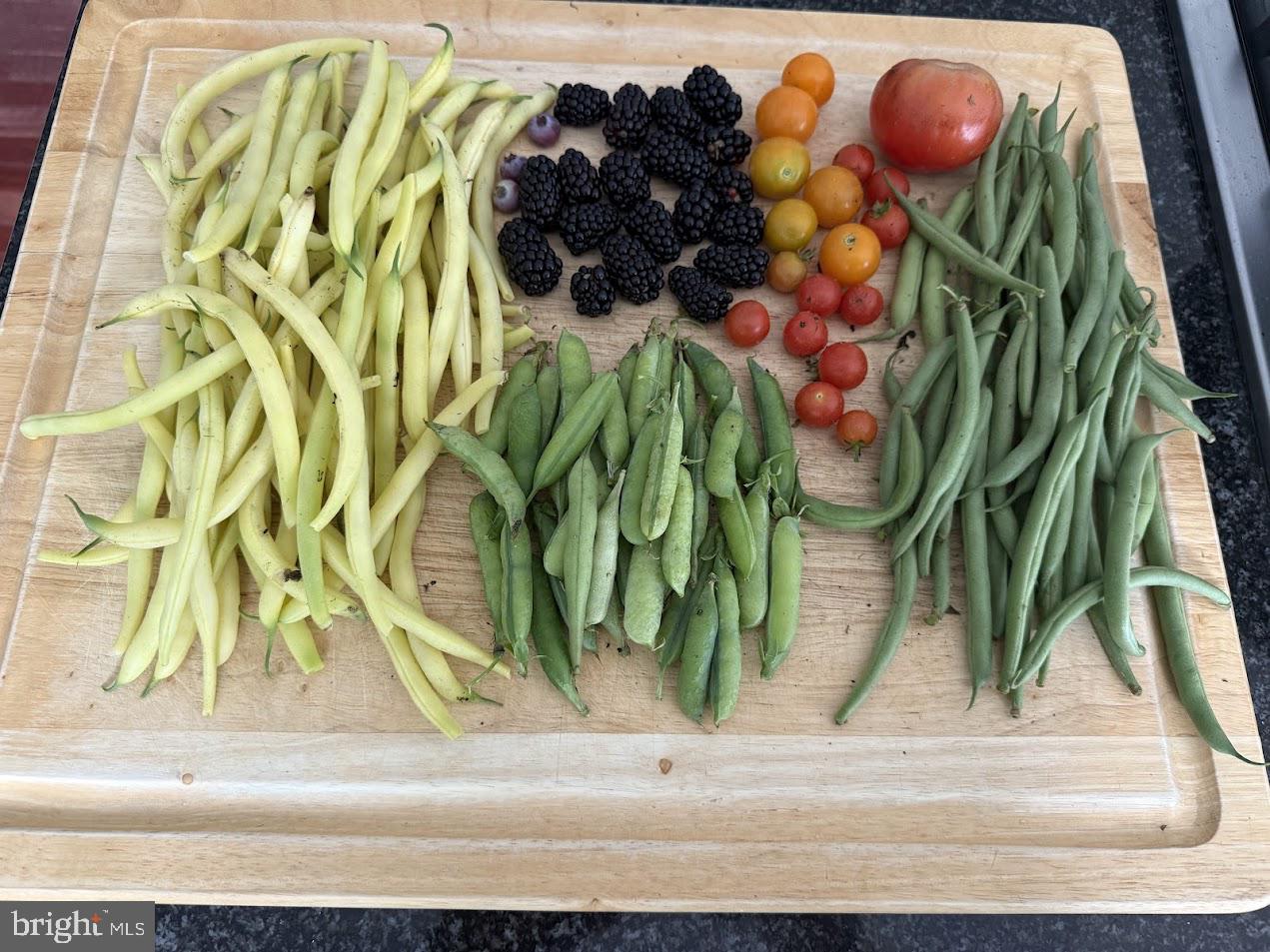 34 BELLA VISTA CT, STAFFORD, Virginia 22554, 5 Bedrooms Bedrooms, ,4 BathroomsBathrooms,Residential,For sale,34 BELLA VISTA CT,VAST2046372 MLS # VAST2046372