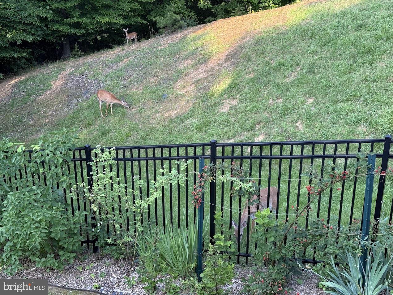 34 BELLA VISTA CT, STAFFORD, Virginia 22554, 5 Bedrooms Bedrooms, ,4 BathroomsBathrooms,Residential,For sale,34 BELLA VISTA CT,VAST2046372 MLS # VAST2046372