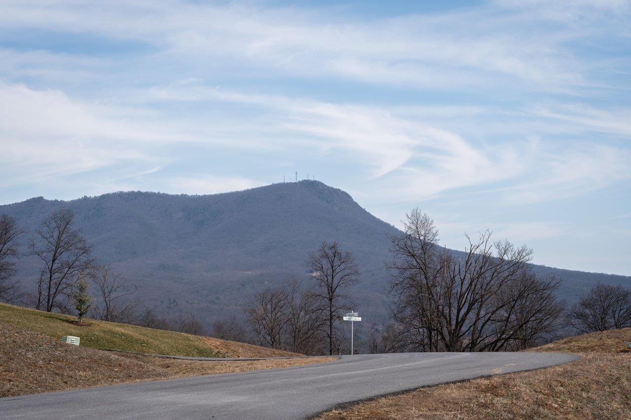 Lot 200 COLCHESTER CT, ROCKINGHAM, Virginia 22801, ,Land,Lot 200 COLCHESTER CT,674059 MLS # 674059