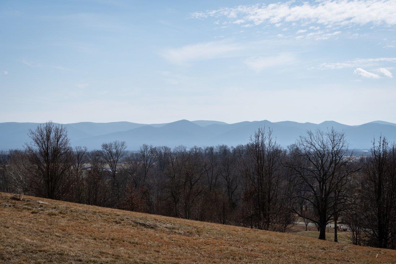 Lot 200 COLCHESTER CT, ROCKINGHAM, Virginia 22801, ,Land,Lot 200 COLCHESTER CT,674059 MLS # 674059