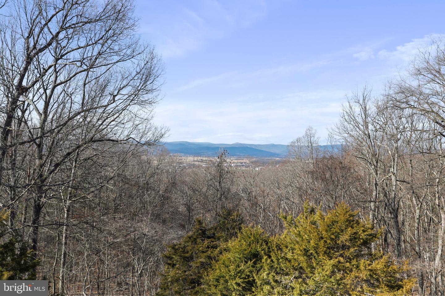 308 BRUSH LEAF LN, MOUNT JACKSON, Virginia 22842, 2 Bedrooms Bedrooms, 13 Rooms Rooms,2 BathroomsBathrooms,Residential,For sale,308 BRUSH LEAF LN,VASH2013728 MLS # VASH2013728