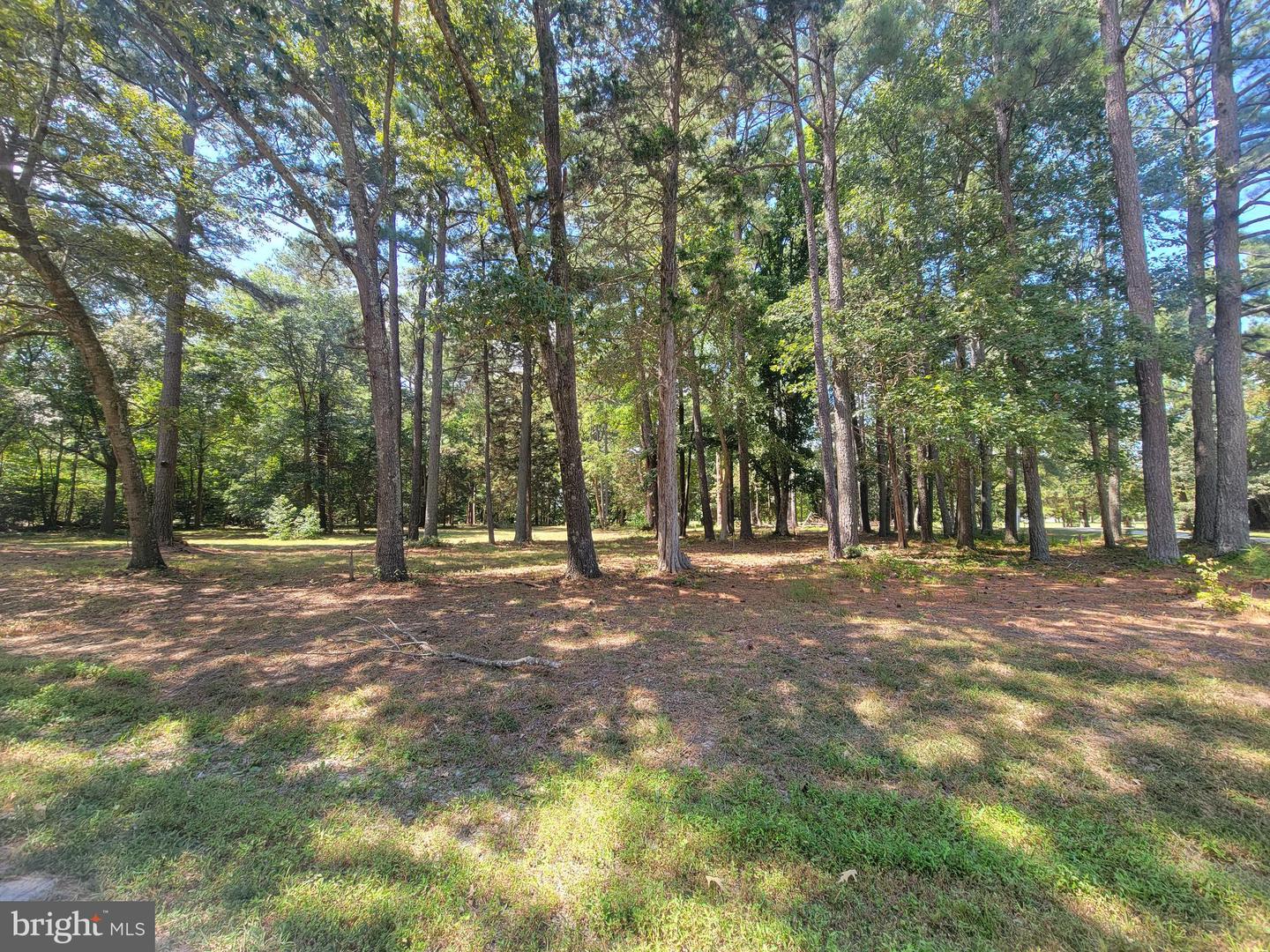 000 POINT ANNE DR, HARTFIELD, Virginia 23071, ,Land,For sale,000 POINT ANNE DR,VAMX2000248 MLS # VAMX2000248