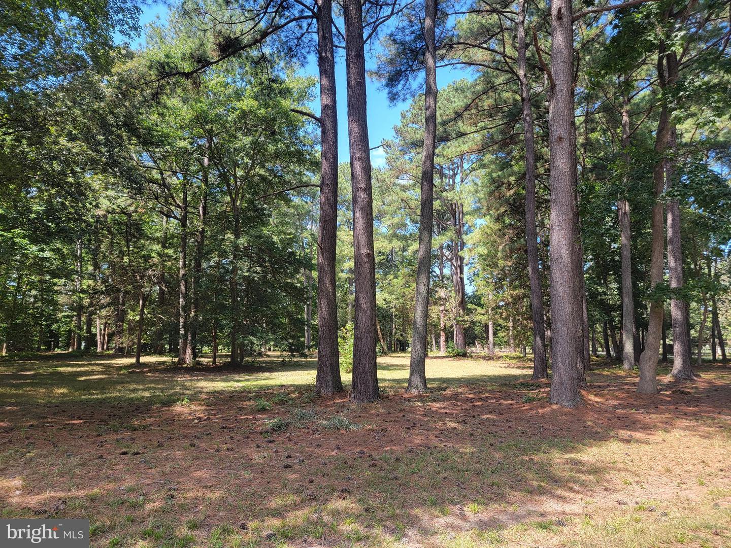 000 POINT ANNE DR, HARTFIELD, Virginia 23071, ,Land,For sale,000 POINT ANNE DR,VAMX2000248 MLS # VAMX2000248