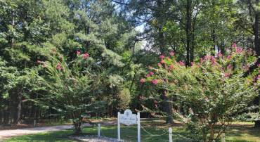 000 POINT ANNE DR, HARTFIELD, Virginia 23071, ,Land,For sale,000 POINT ANNE DR,VAMX2000248 MLS # VAMX2000248